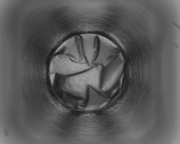 X0000090950447200708301143