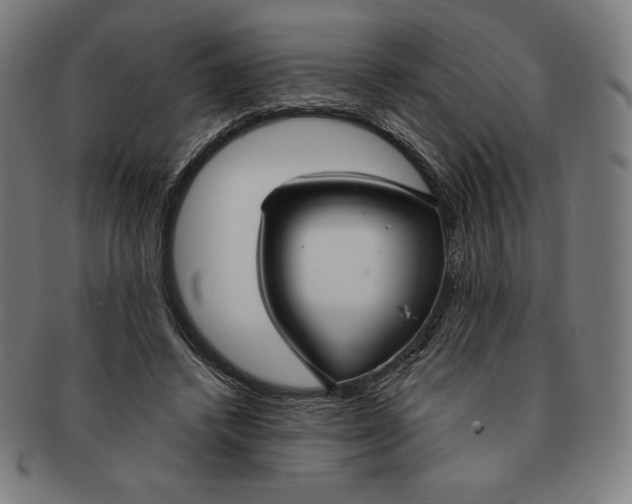 X0000090950448200708301143