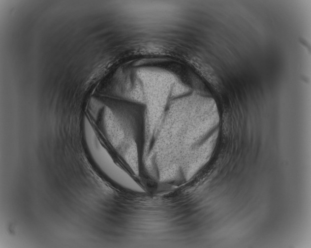 X0000090950449200708301143