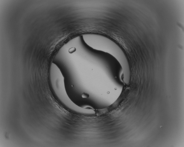 X0000090950450200708301143