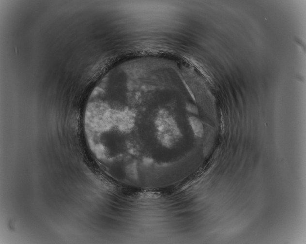 X0000090950451200708301143