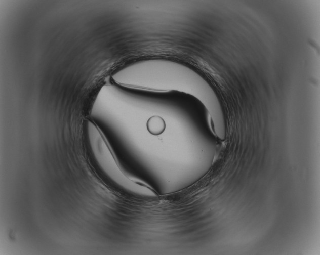 X0000090950452200708301143