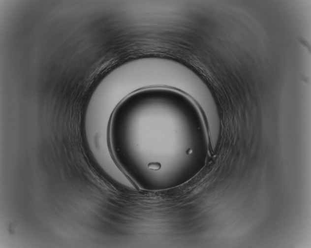 X0000090950454200708301143