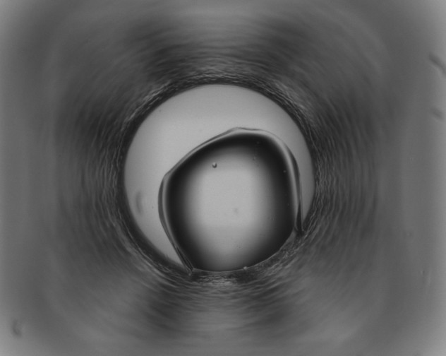 X0000090950456200708301143