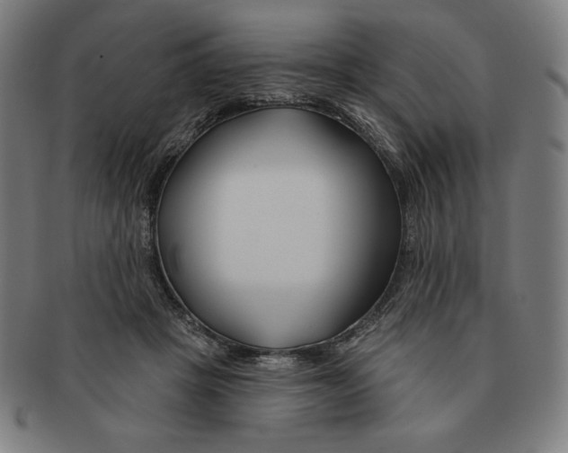 X0000090950457200708301143