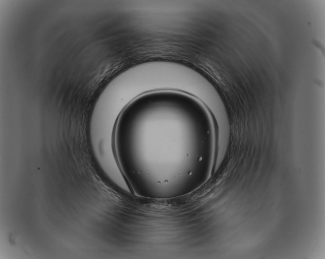 X0000090950458200708301143