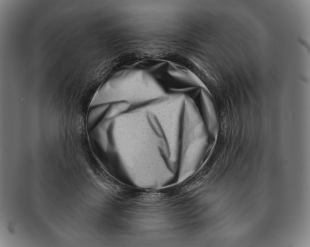 X0000090950459200708301144