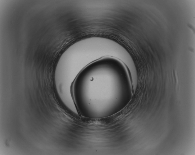 X0000090950460200708301144