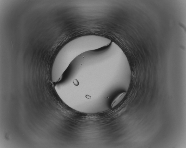 X0000090950462200708301144