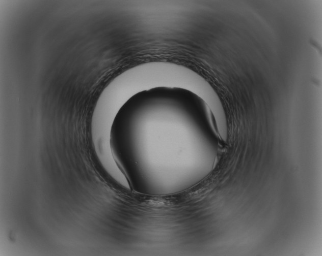 X0000090950464200708301144