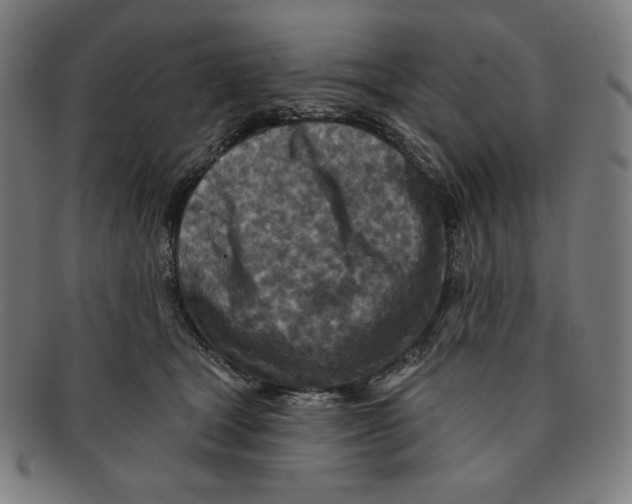 X0000090950465200708301144