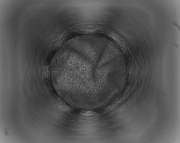 X0000090950467200708301144