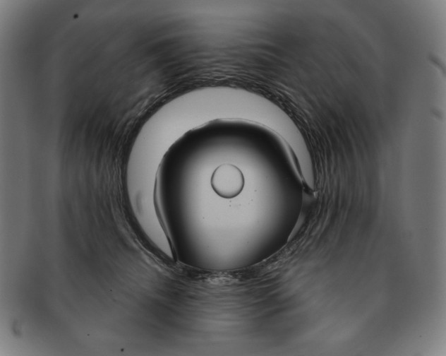 X0000090950468200708301144