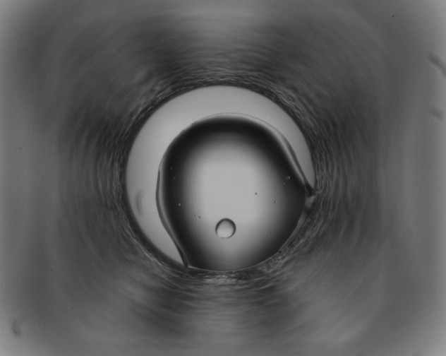 X0000090950470200708301144