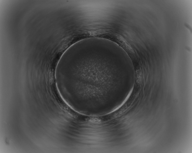 X0000090950471200708301144