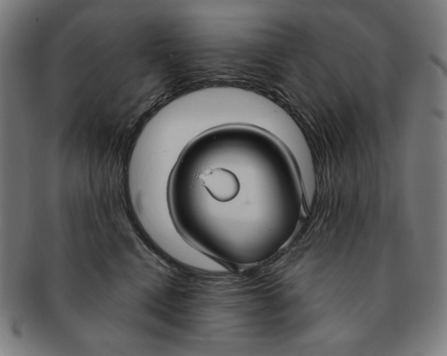 X0000090950472200708301144