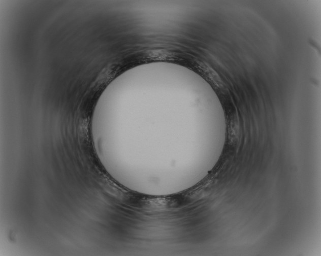 X0000090950473200708301144