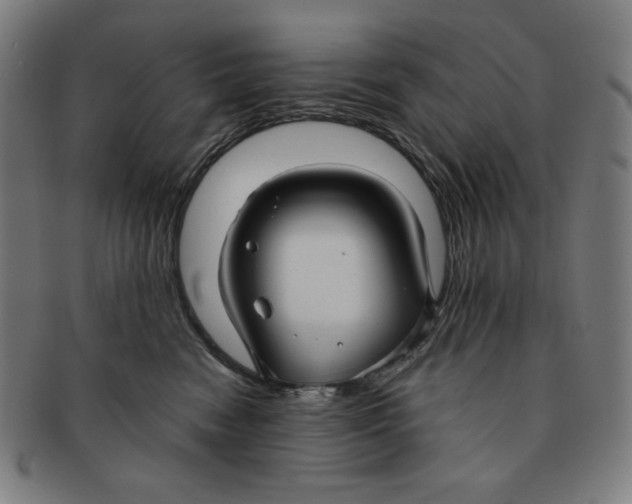 X0000090950474200708301144