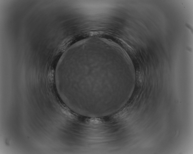 X0000090950475200708301144
