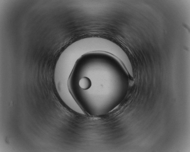X0000090950476200708301144