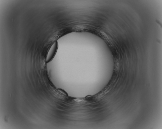X0000090950477200708301144