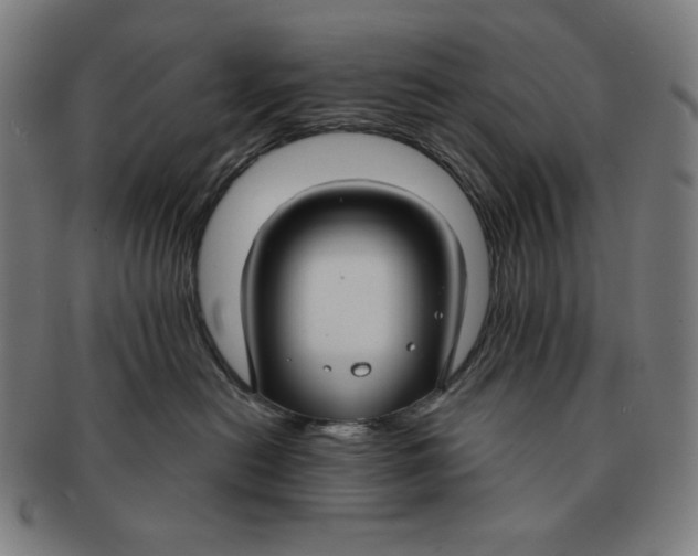 X0000090950478200708301144