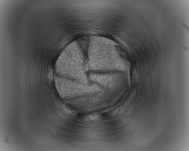 X0000090950479200708301144