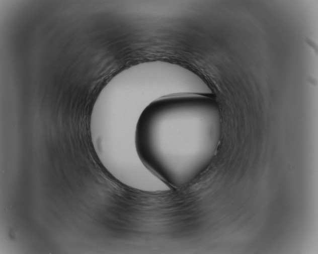 X0000090950480200708301144