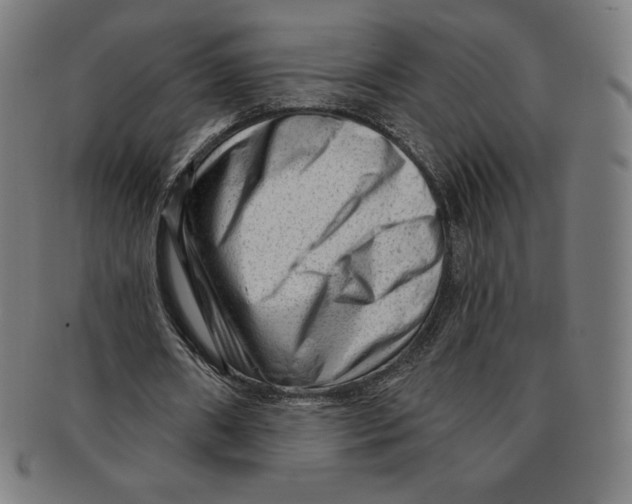 X0000090950482200708301143