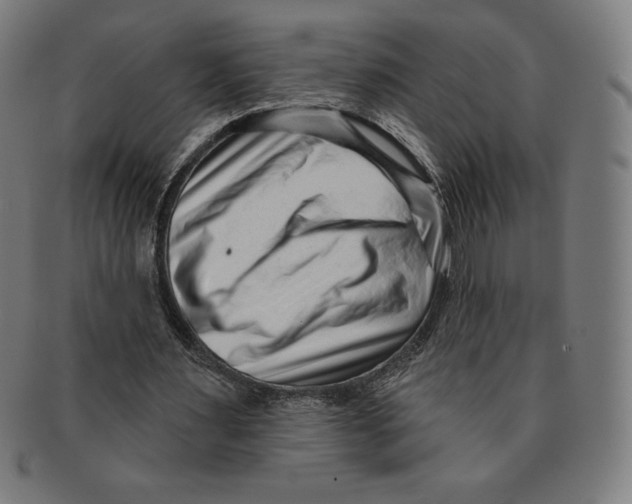 X0000090950483200708301143