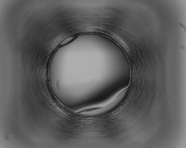 X0000090950485200708301143