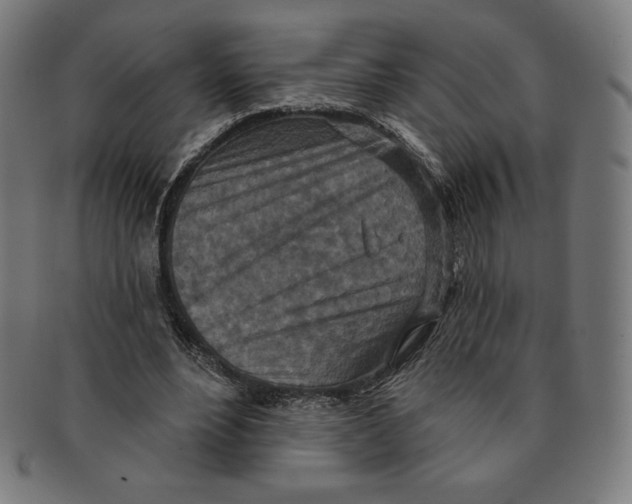 X0000090950488200708301143