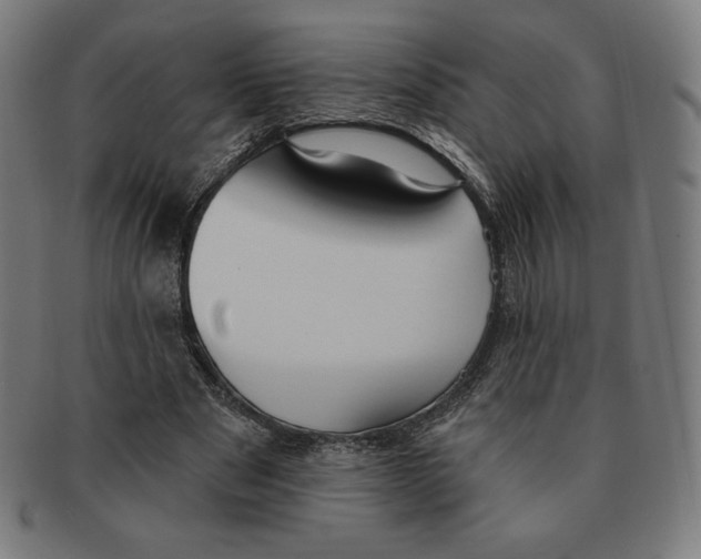 X0000090950489200708301143
