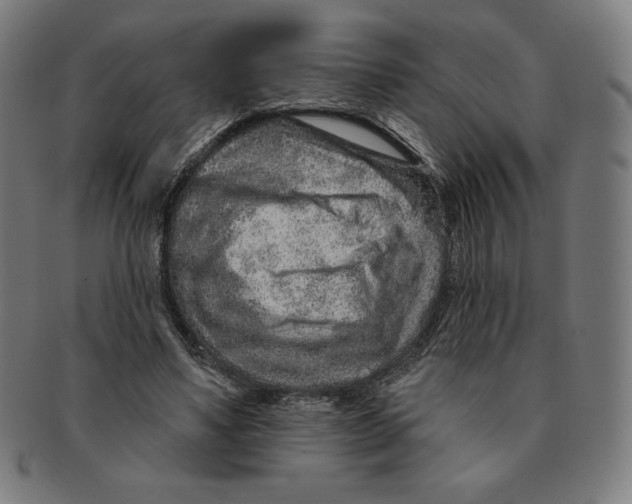 X0000090950491200708301143