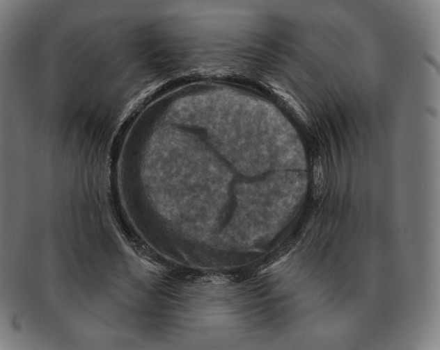 X0000090950492200708301143