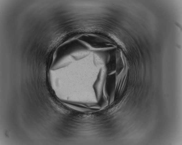 X0000090950493200708301143