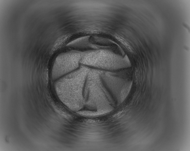 X0000090950494200708301143