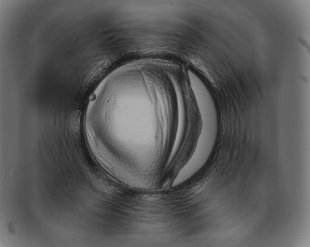 X0000090950495200708301143