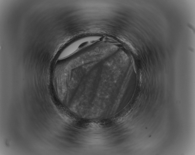 X0000090950496200708301143