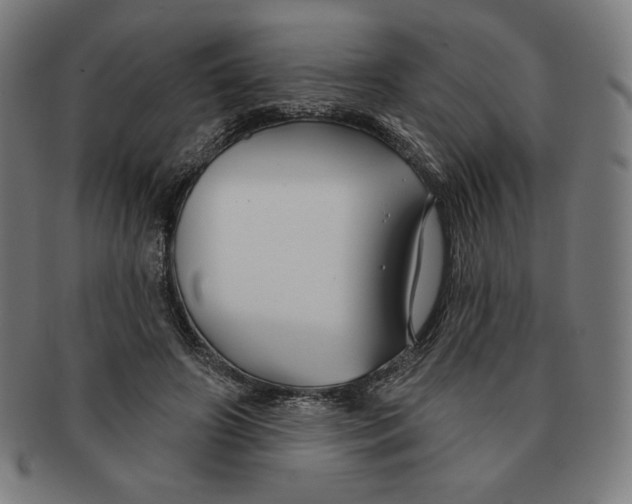 X0000090950498200708301143