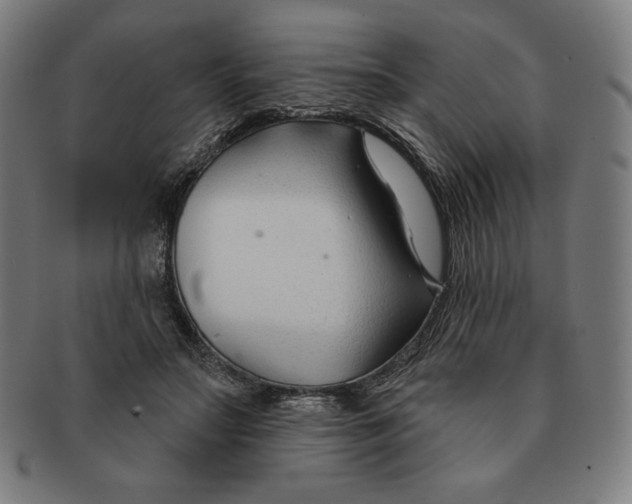 X0000090950499200708301143