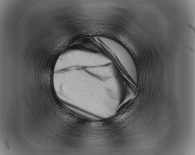 X0000090950501200708301143
