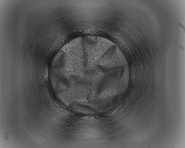 X0000090950502200708301143