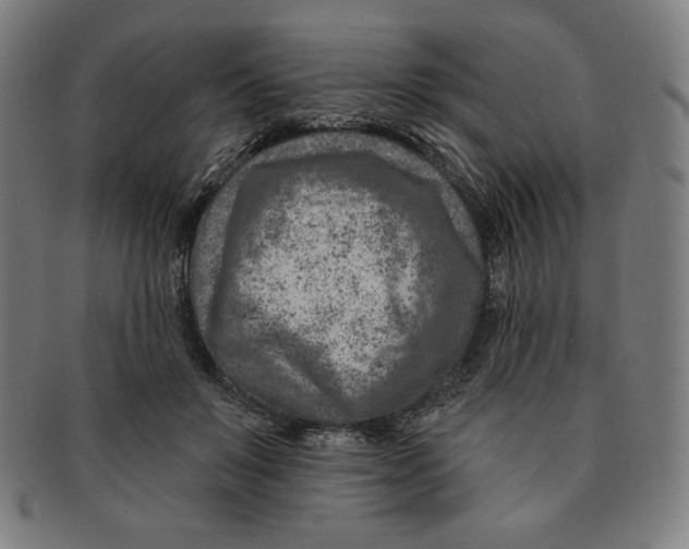 X0000090950503200708301143
