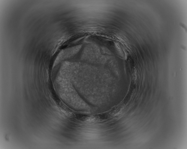 X0000090950504200708301143