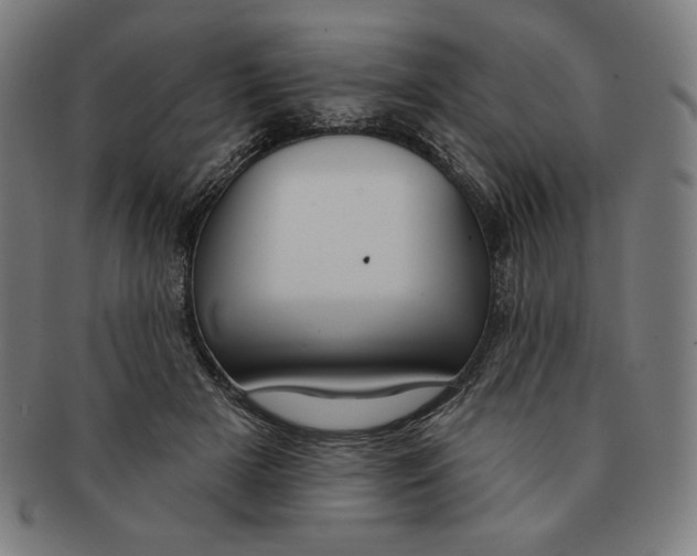 X0000090950505200708301143