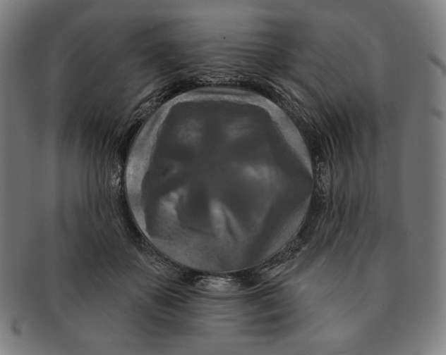 X0000090950507200708301143