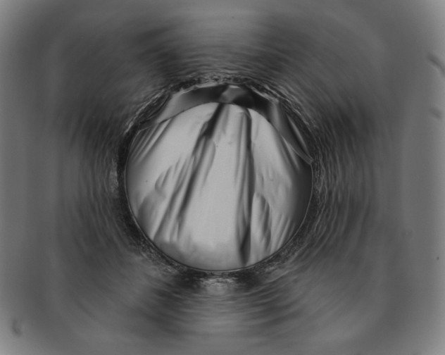 X0000090950508200708301143