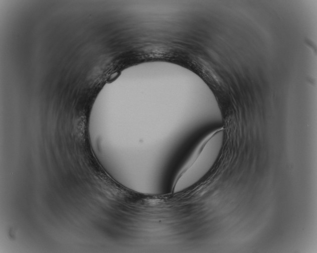 X0000090950509200708301143