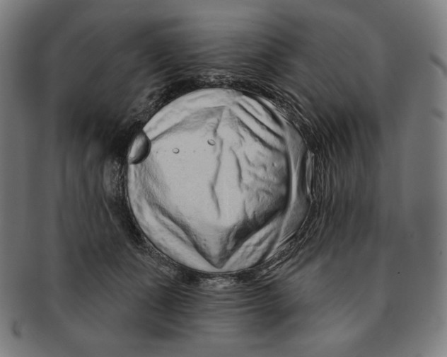 X0000090950511200708301143